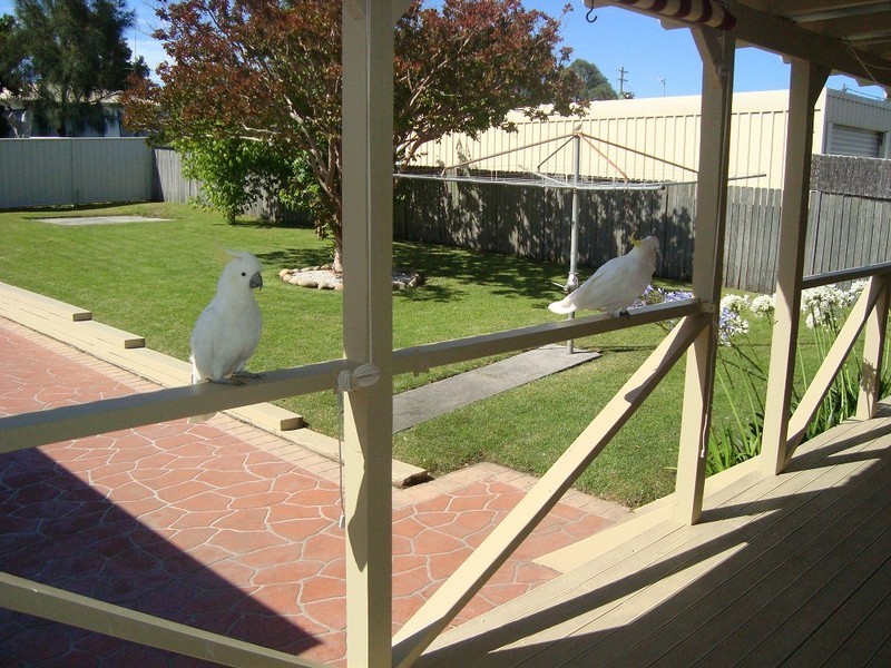 20 William Street, Shellharbour NSW 2529