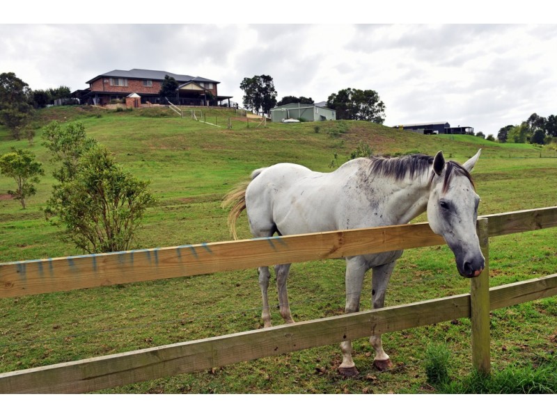 36 Larkins Lane, Yallah NSW 2530