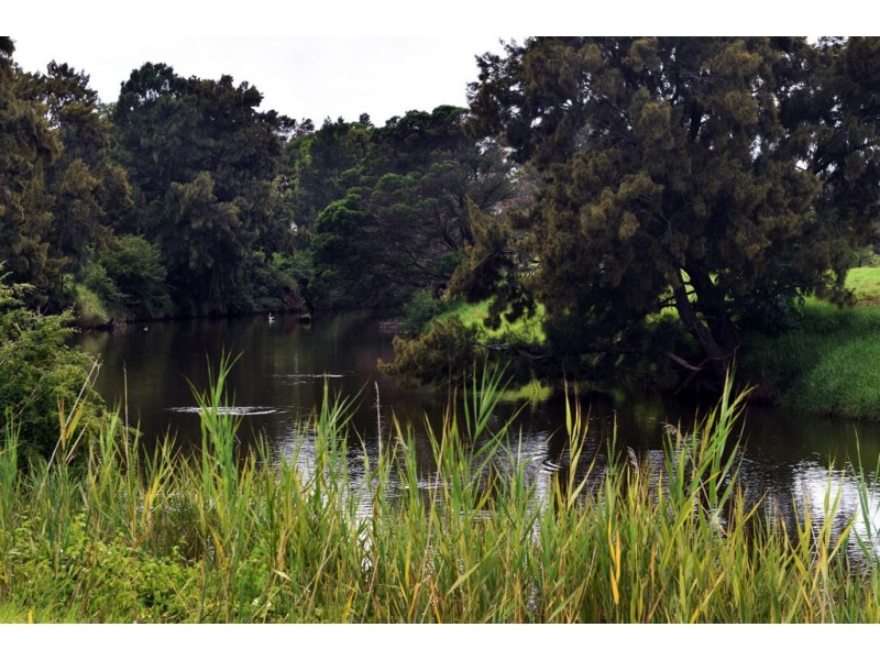 36 Larkins Lane, Yallah NSW 2530