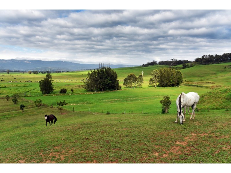 36 Larkins Lane, Yallah NSW 2530