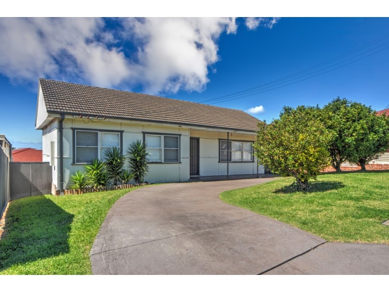 17 Minnegang Street, Warrawong NSW 2502