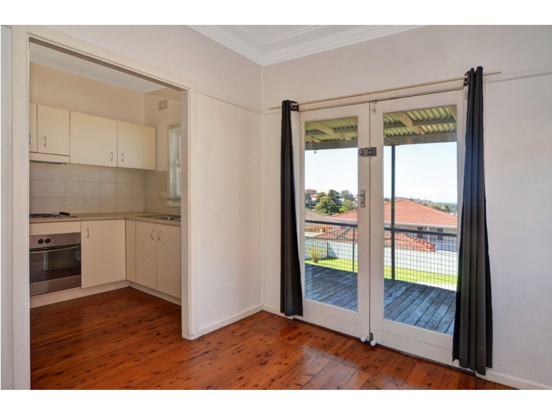 17 Minnegang Street, Warrawong NSW 2502