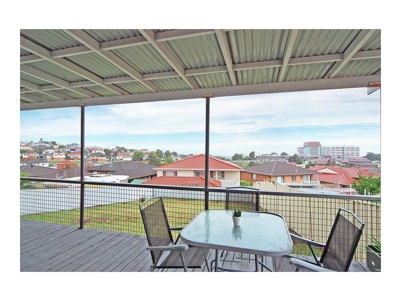 17 Minnegang Street, Warrawong NSW 2502