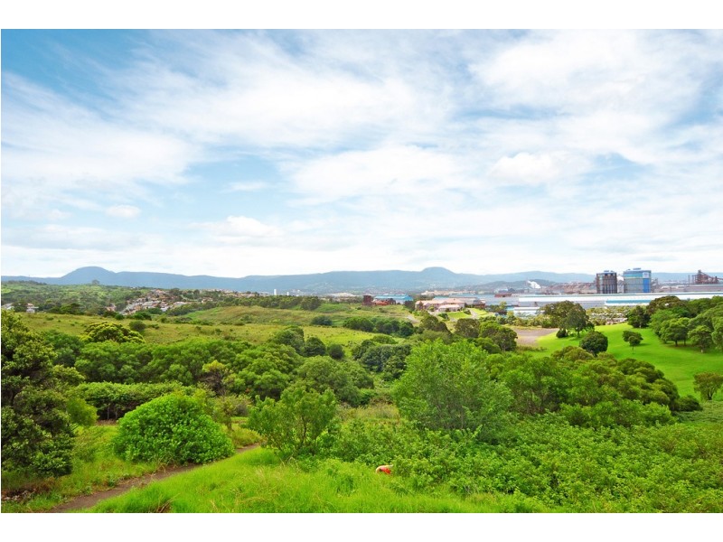 88 Flagstaff Road, Warrawong NSW 2502