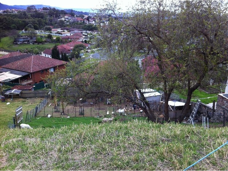 16 and 18 Grattan Street, Cringila NSW 2502
