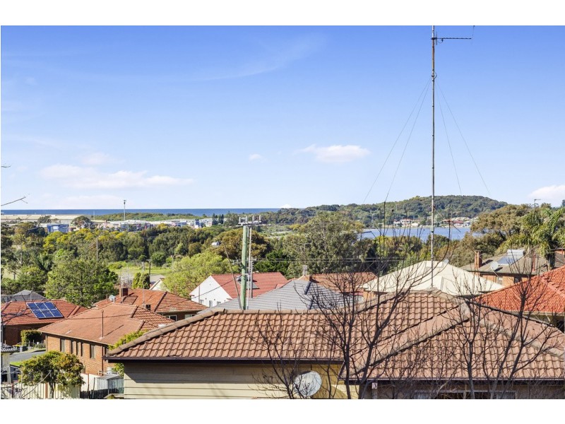 49 Greene Street, Warrawong NSW 2502