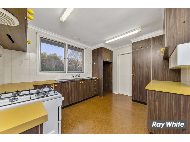 8 Calvert Street, Ainslie ACT 2602