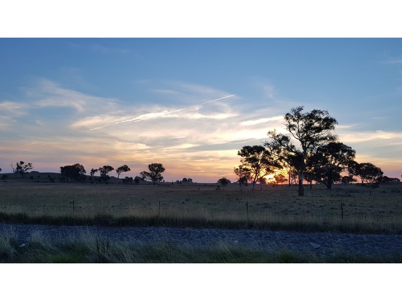 80 Marie Pitt Street, Franklin ACT 2913