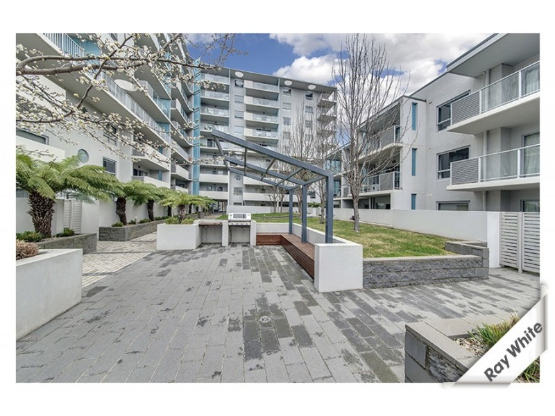 29/16 Wakefield Avenue, Braddon ACT 2612