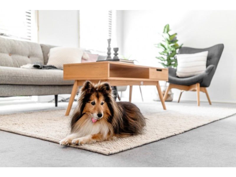 7/70 Bourne Street, Cook ACT 2614