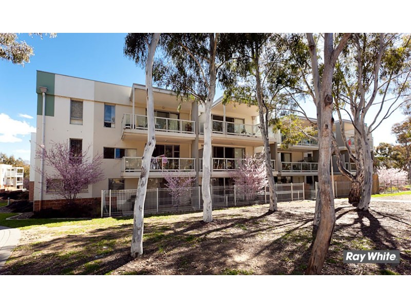 26/2 Eardley Street, Bruce ACT 2617