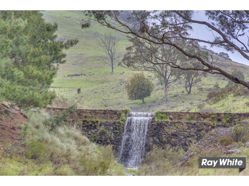 1300 Mountain Creek Rd, Mullion NSW 2582