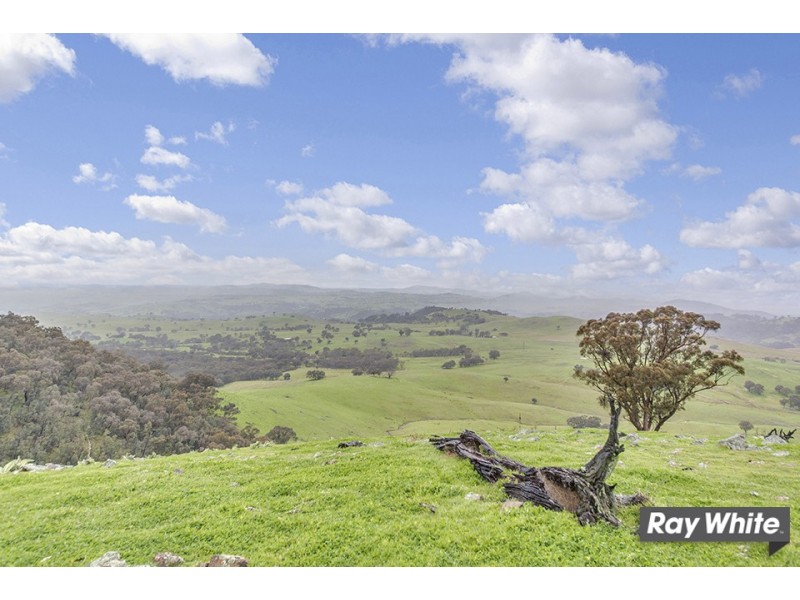 1300 Mountain Creek Rd, Mullion NSW 2582
