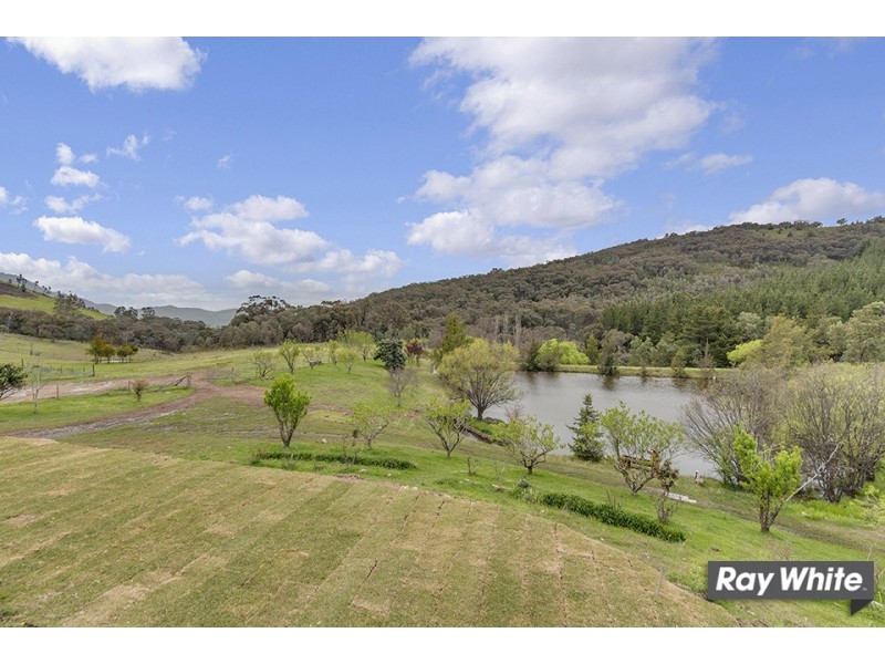 1300 Mountain Creek Rd, Mullion NSW 2582