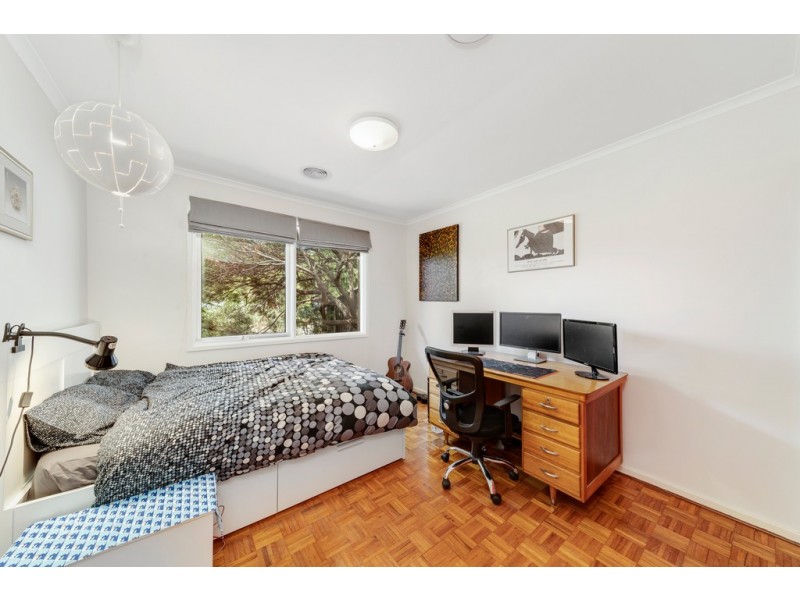 31 Dwyer Street, Cook ACT 2614