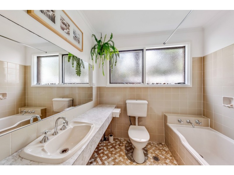 31 Dwyer Street, Cook ACT 2614