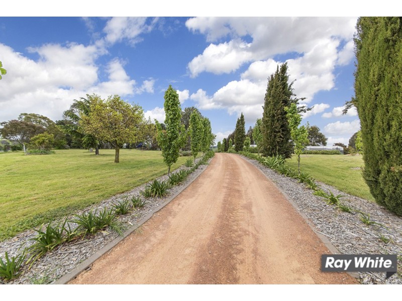 113 Gooromon Ponds Rd, Wallaroo NSW 2618