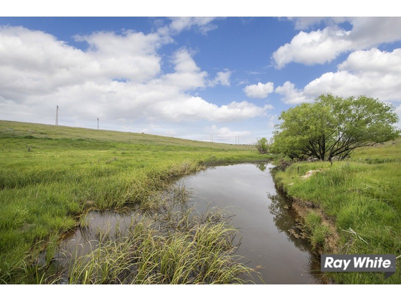 113 Gooromon Ponds Rd, Wallaroo NSW 2618