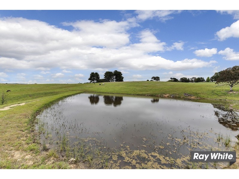 113 Gooromon Ponds Rd, Wallaroo NSW 2618