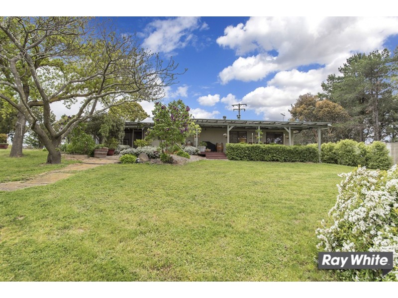 113 Gooromon Ponds Rd, Wallaroo NSW 2618
