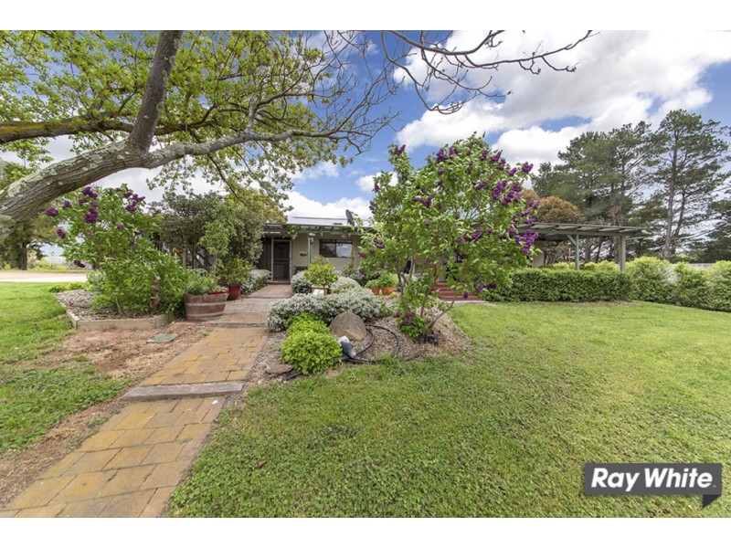 113 Gooromon Ponds Rd, Wallaroo NSW 2618