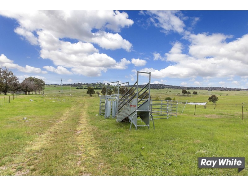 113 Gooromon Ponds Rd, Wallaroo NSW 2618