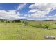 113 Gooromon Ponds Rd, Wallaroo NSW 2618