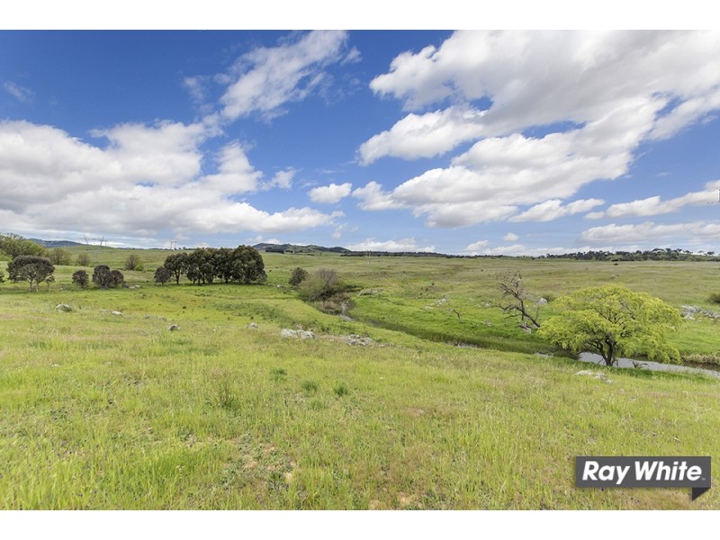 113 Gooromon Ponds Rd, Wallaroo NSW 2618
