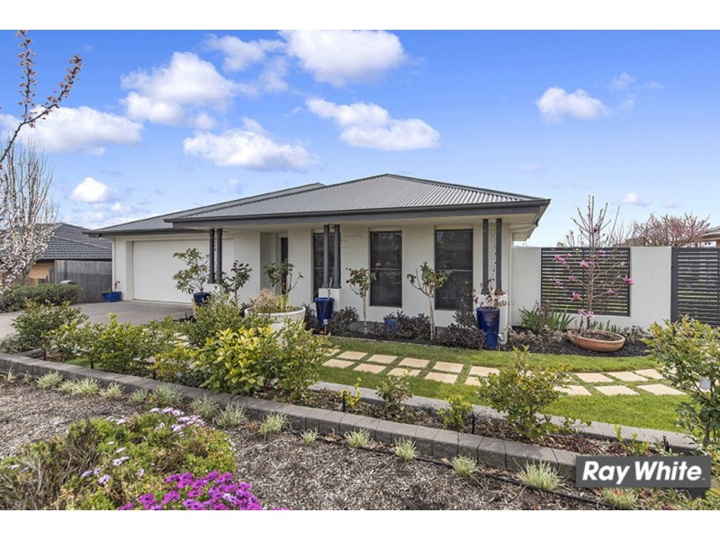 43 Macfarlane Burnet Ave, Macgregor ACT 2615