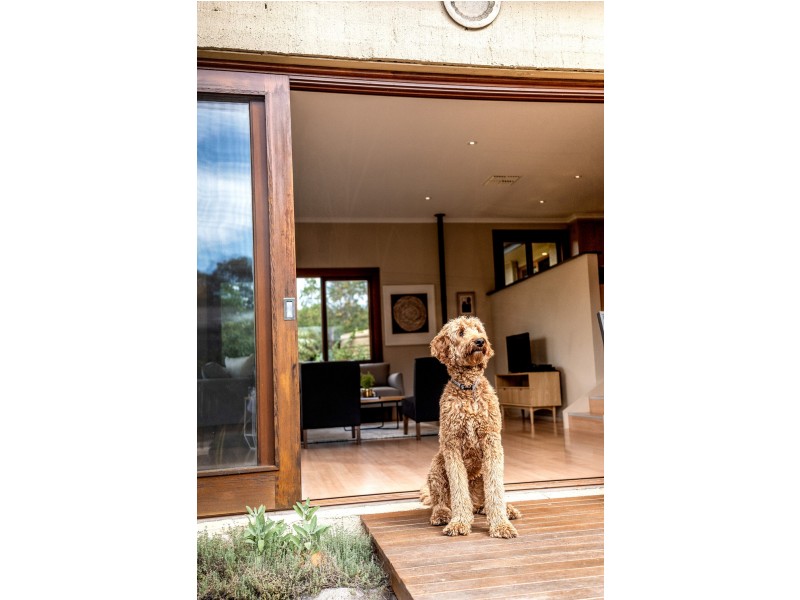 6 McKeahnie Street, Weetangera ACT 2614