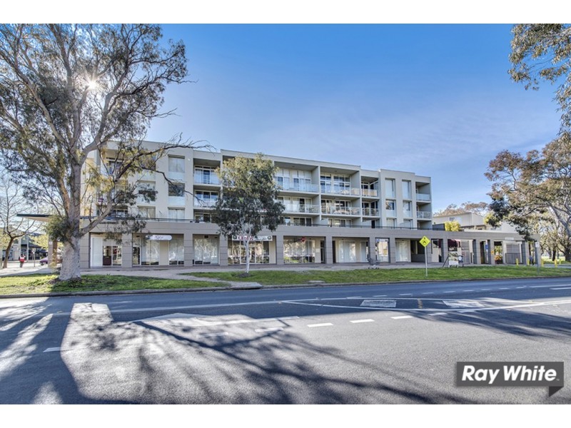 33/12 Challis Street, Dickson ACT 2602