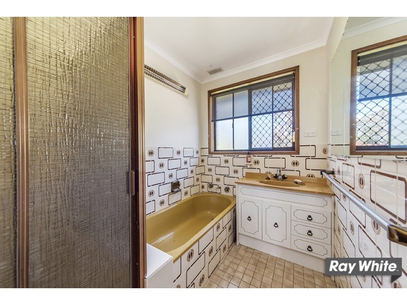 1/3 Sexton Street, Cook ACT 2614