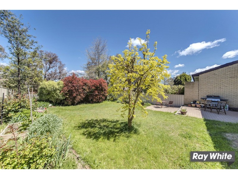 1/3 Sexton Street, Cook ACT 2614