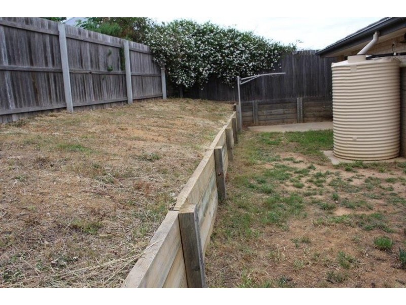 52 Dagmar Berne Street, Macgregor ACT 2615