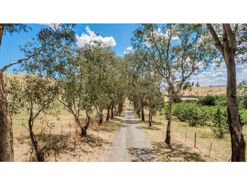 1173 Wallaroo Road, Wallaroo NSW 2618