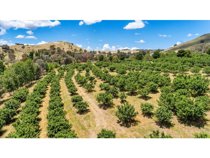 1173 Wallaroo Road, Wallaroo NSW 2618