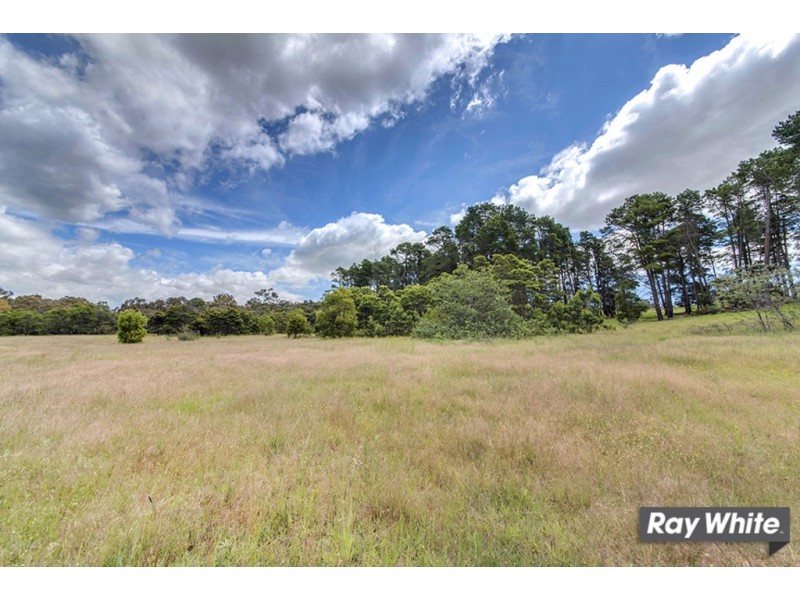 230 Dryandra St, O’connor ACT 2602