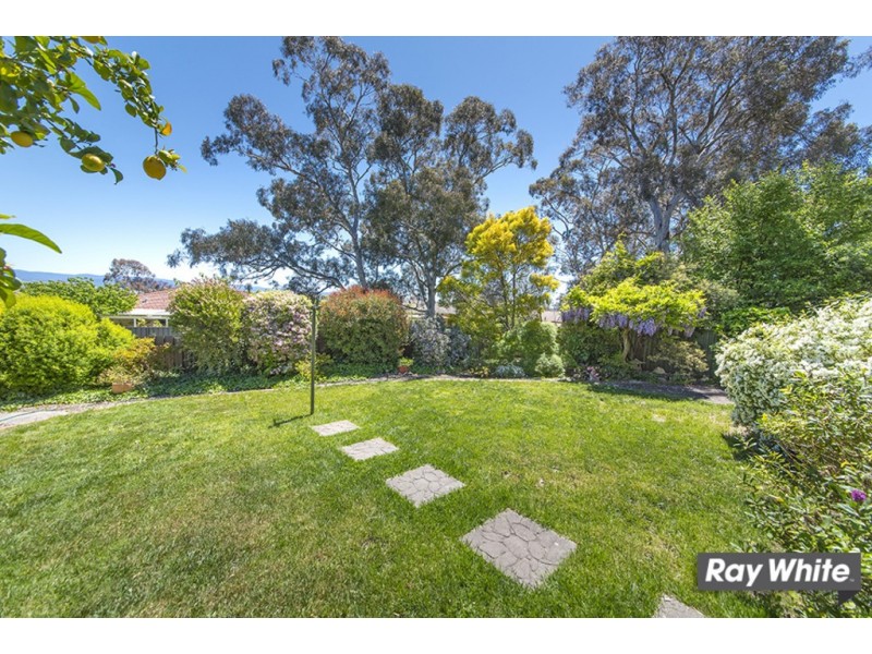 6 Neeld Place, Charnwood ACT 2615
