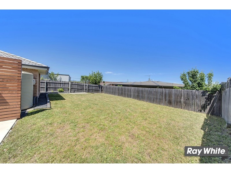31 Victor Chang Street, Macgregor ACT 2615