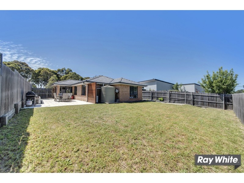 31 Victor Chang Street, Macgregor ACT 2615