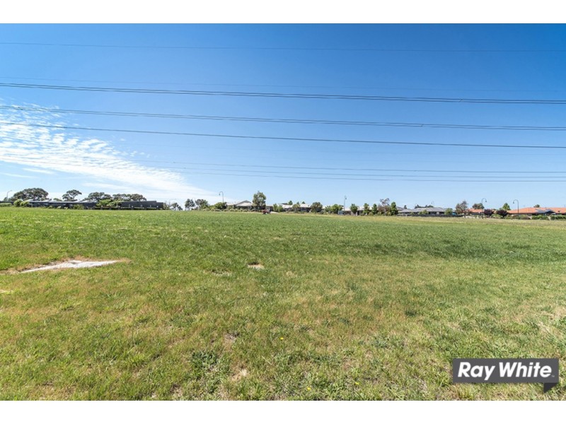 31 Victor Chang Street, Macgregor ACT 2615