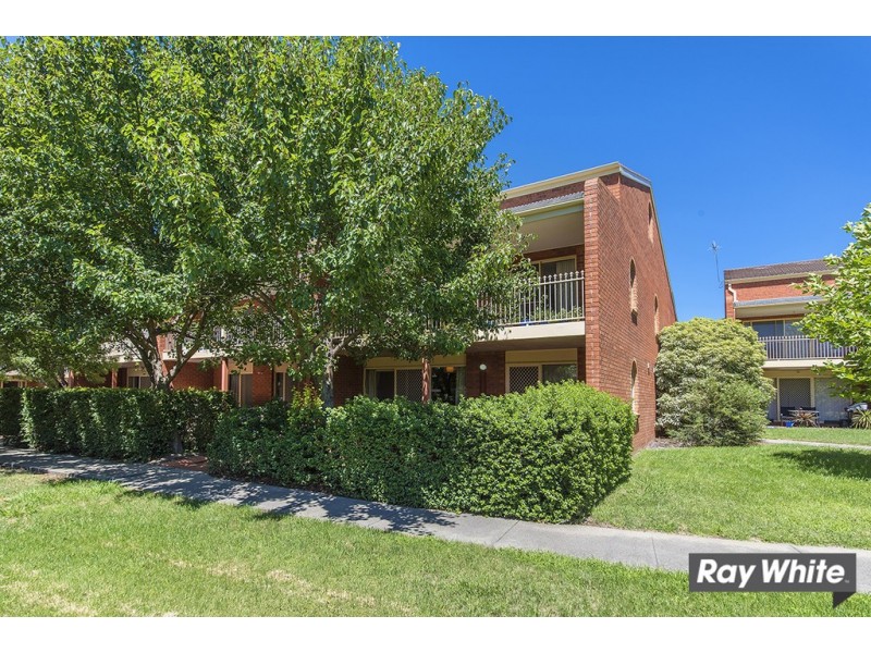 49A/12 Albermarle Place, Phillip ACT 2606