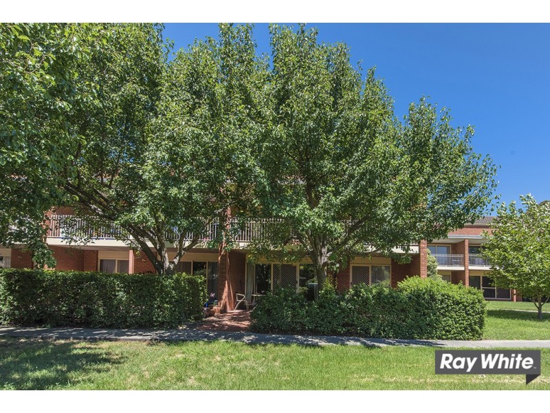 49A/12 Albermarle Place, Phillip ACT 2606