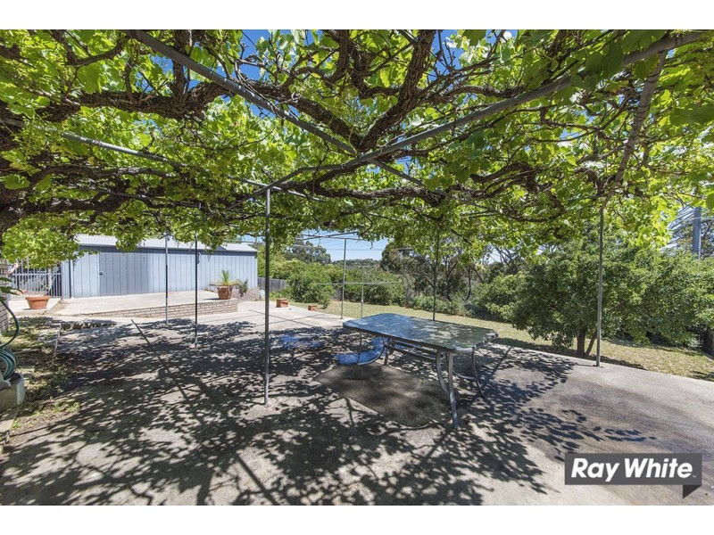 43 Solomon Crescent, Latham ACT 2615