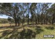 43 Solomon Crescent, Latham ACT 2615