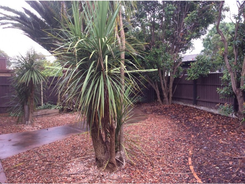 7 Marqua Place, Hawker ACT 2614