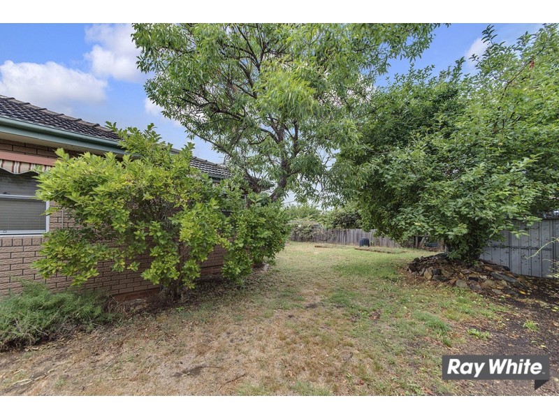 17 Jarrah Street, O’connor ACT 2602