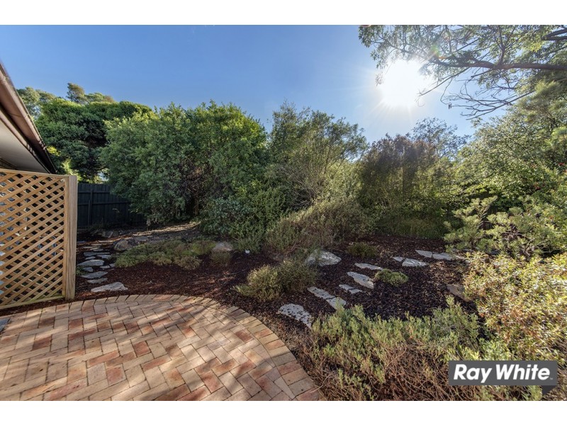 70 Dexter Street, Cook ACT 2614