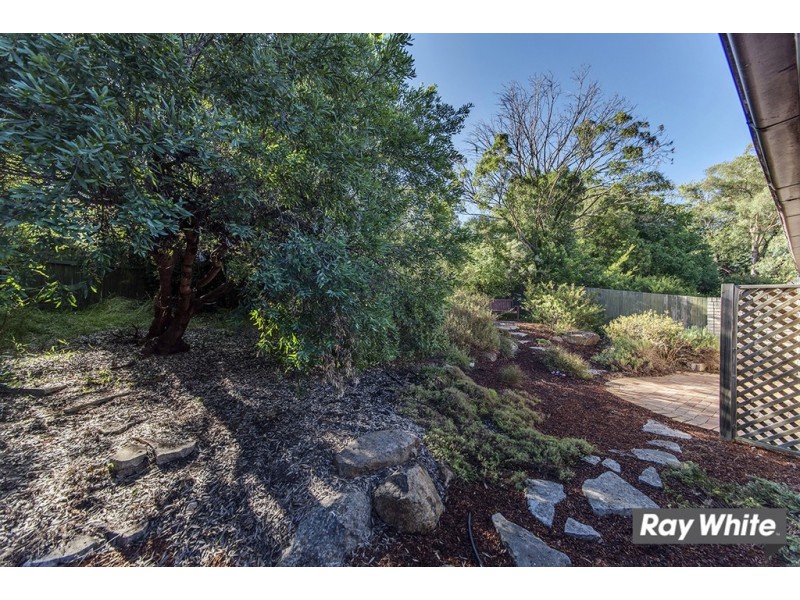 70 Dexter Street, Cook ACT 2614