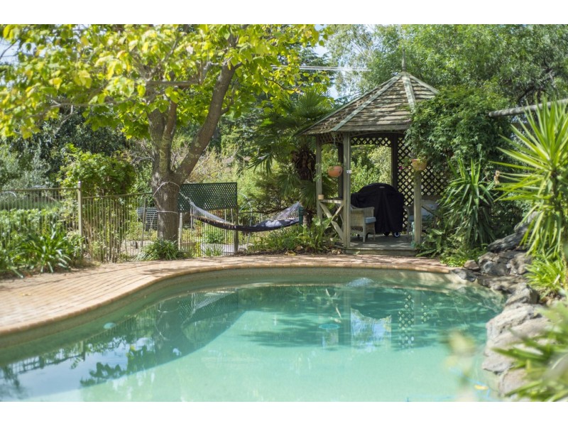 113 Springvale Drive, Weetangera ACT 2614
